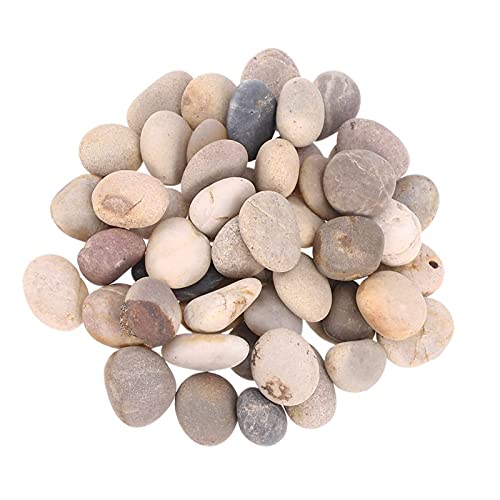 Liekadijiae 25 Stück Groß Steine zum Bemalen, Zierkies Kiesel, Kies Dekosteine Naturstein, Strand Kiesel, Zierkies Flusskiesel Malsteine, für Bunte Malerei & Dekoration