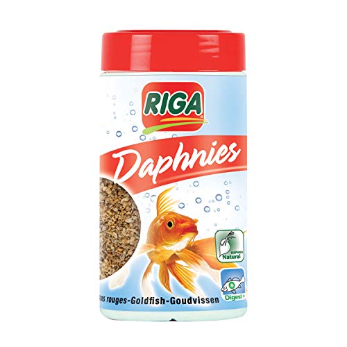 Riga - Cold Daphnien - 100% Getrocknete Daphnien - Idealer Leckerbissen für Gold- und Kaltwasserfische - 38 g