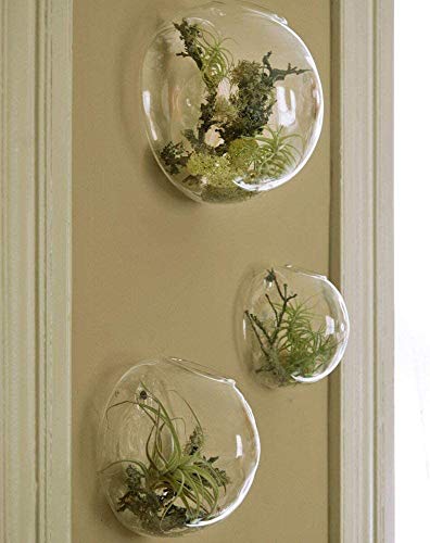 Gemischtes Set von 3 Wandblase Terrarien Klarglas Vase Hängende Wand-Pflanzgefäß Wandmontage Pflanzgefäß Indoor Pflanzen Halter für Blumen Wand montiert Pflanzgefäße für Sukkulenten