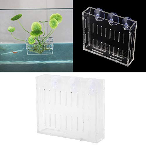 Pssopp Aquarium Samen Wasser Gras Pflanze Tasse Acryl Cup Topf Landschaft Pflanzen Anbau Becken Tasse mit 3 Saugnäpfe für Aquarium Loch Deisgn