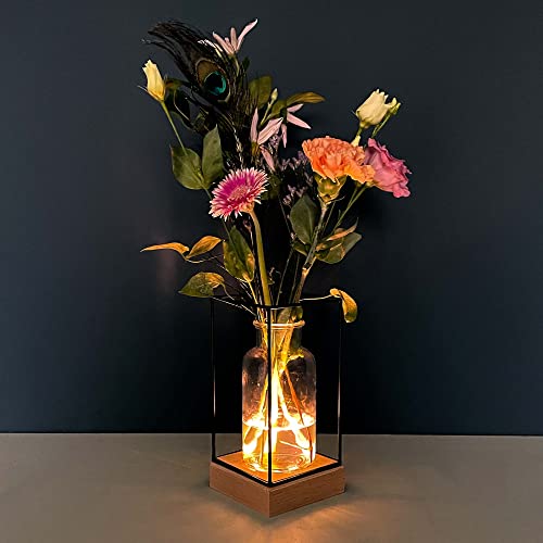 Gadgy® Beleuchte Vase Glas - LED Blumenvase für Wohnzimmer Deko Modern - Glasvase Skandinavische Deko - Blumenvase Modern - Deko Pflanzen Vase für Blumen - 22,5x10,8x10,8cm