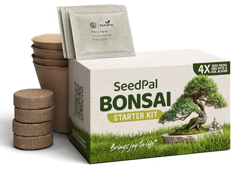 SeedPal Easy Bonsai Starter Kit - Bonsai Anzuchtset 4 versch. Bonsai Samen - Züchte deinen wunderschönen Bonsai Baum - Geschenkset/Pflanzset inkl. Anleitung & Zubehör