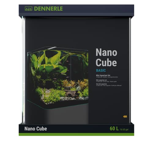 Dennerle Nano Cube Basic, 60 Liter - Mini Aquarium mit Abgerundeter Frontscheibe