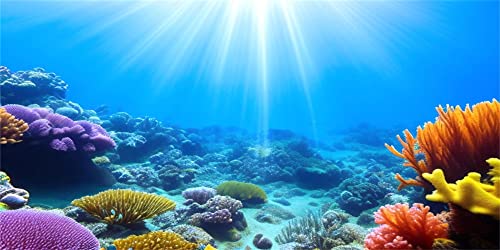 MIRRORANG 120x50cm Unterwasser Aquarium Hintergrund Sonnenlicht Blaues Meer Buntes Korallenriff Unterwasserwelt Aquarium Poster Hintergrund