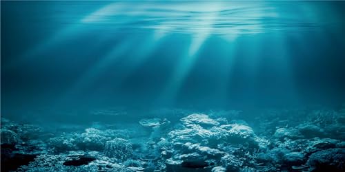 MIRRORANG 120x50cm Unterwasser-Thema Aquarium Hintergrund Sonnenschein Unterwasserwelt Aquarium Poster Hintergrund Vinyl Hintergrund