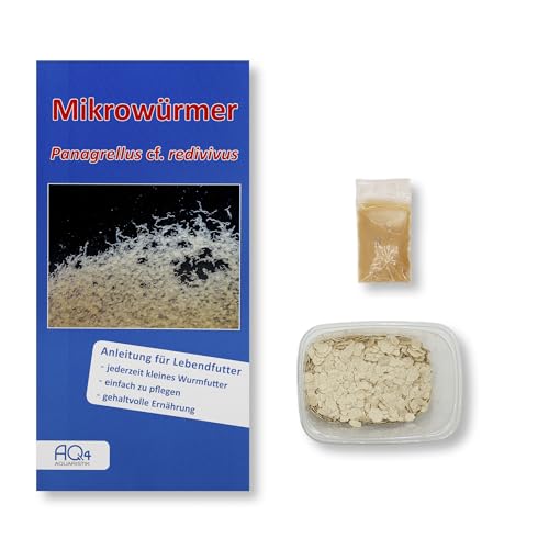 Lebendfutter - Mikrowürmer (Zuchtansatz auf Substrat im Becher mit Anleitung) - Lebendfutter für Fische im Aquarium - Mikroälchen