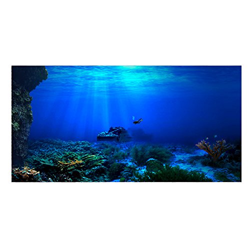 FILFEEL Aquarium Hintergrund Aquarium Dekorationen Bilder 3D Effekt PVC Adhesive Poster Unterwasserwelt Hintergrund Dekoration Papier Cling Decals Aufkleber(61x30cm)