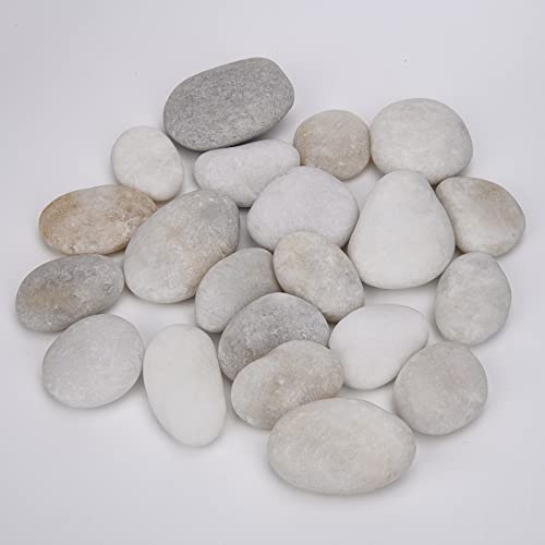 Hisredsun 21 Flache Steine zum Bemalen, 4–6 cm Glatte Große Kieselsteine, Dekosteine Naturstein,Natürlicher Flussstein für Mandala Bemalen,Zen Garten,Blumentöpfen und Aquarien