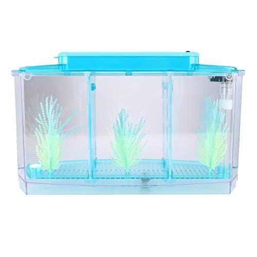 Aquarium, drei Unterteilungen, Zucht-Isolation, Mini-Aquarium, komplettset, LED-Acryl-Box für kleine Fische (lila) (blau)