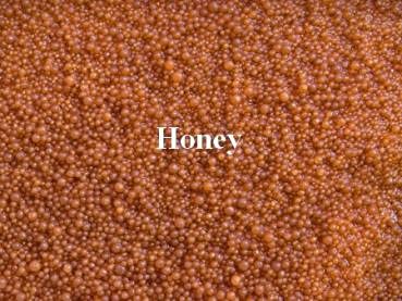 Axogravel Honey 5Kg, Spezialbodengrund für Axolotl