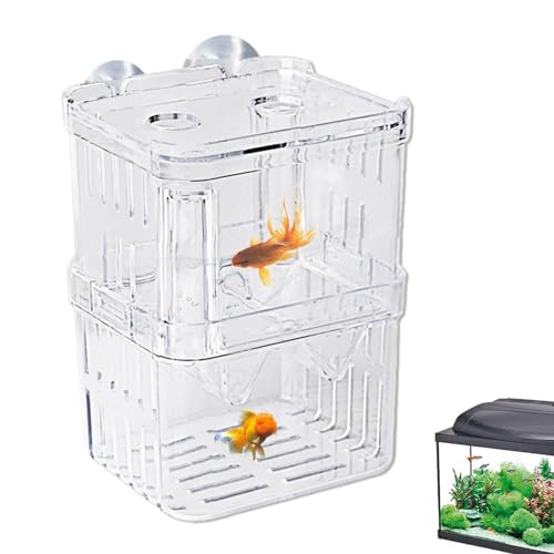 Fischzuchtbox – Acryl-Trennwand für Brutbrüter | Aufzuchtbox für Aquarien Inkubator für Babys Garnelenfische Betta und Guppy