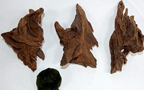Sahawa Wurzel,3 Mangrovenwurzeln, Mangrove, Aquariumwurzel+ Mooskugel Gratis Aquarium, Terrarium Deko ca. 12-15 cm