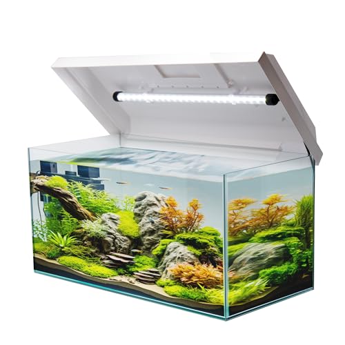 VIALIA Aquarium rechteckig mit Juwel LED Abdeckung weiß 60x30x30 cm, 54 Liter, Glasbecken für Fische und Wasserpflanzen, Aquarium Becken stoßfest