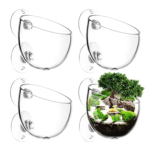 AIMEKE 4 Stück Wasserpflanzentopf Aquarium Deko Kristallglas Glas Cup Pflanzenhalter Cup Topf Pflanz für Aquarienpflanzen, mit 8 × Saugnäpfen