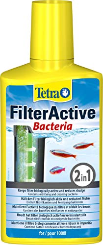 Tetra FilterActive Bacteria - 2in1 Mix aus lebenden Starterbakterien und schlammreduzierenden Reinigungsbakterien, hält den Filter biologisch aktiv und reduziert Mulm, 250 ml