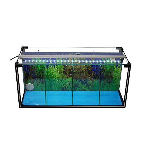 Komplettset Aquarium Zucht-Becken Betta 24 L, Garnelen-, Aufzucht-, Kampffisch-Aquarium