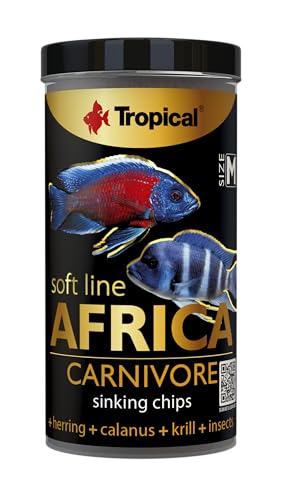 Tropical Soft Line Africa Carnivore, 1er Pack (1 x 130 g)