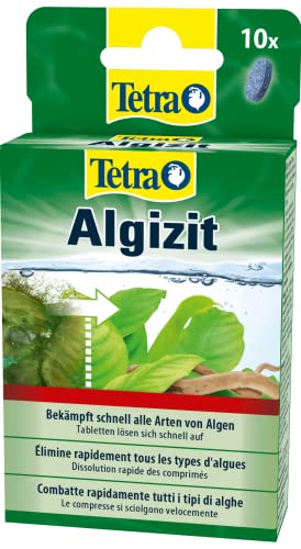 Tetra Algizit - vordosiertes Algenmittel mit schneller Biozid- Wirkung, hilft bei aktuten Algenproblemen im Aquarium, 10 Tabletten
