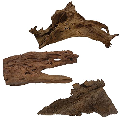 AquaOne Mangrovenwurzel Gr.XL 1 Stück 70-80 cm Aquarium Mangrove Holz Natur Aquascaping Dekoration Landschaft Natur Echtholz Wurzel