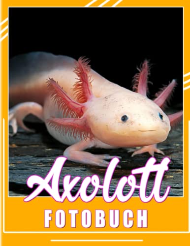 Axolotl Fotobuch: Tier sieht aus wie ein Fisch mit vier Beinen Fotos | 40 Abbildungen Seiten für Freunde, Homies, Familie zum Dekorieren