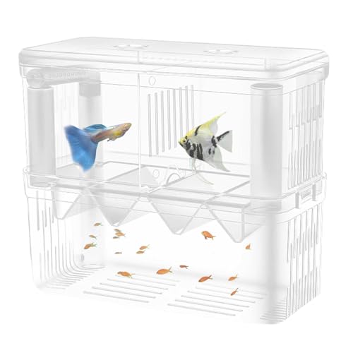 Yianyal Aquarium Züchterbox Doppelschicht Acryl Zuchttank Isolation Box Transparent Schlüpfbox mit Saugnäpfen für Guppy, Clownfisch, Kleine Fische
