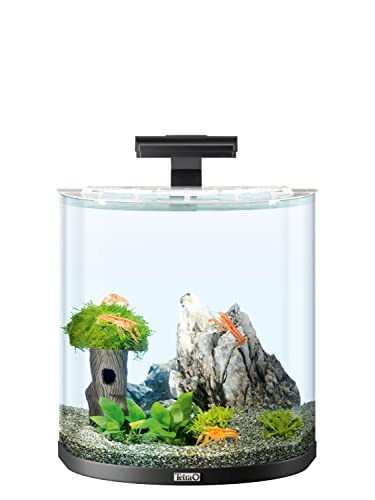 Tetra Explorer Line 30 L Aquarium Komplett-Set - Design Aquarium mit gebogener Frontscheibe, LED-Beleuchtung, Technik, Futter und Pflegemitteln, Farbe: Schwarz