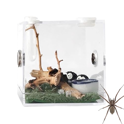 1 x Reptilien-Zuchtbox, transparente Futterbox, tragbare Krabbeltier-Reptilien-Zuchtboxen, Sichtbox mit Anti-Flucht-Design