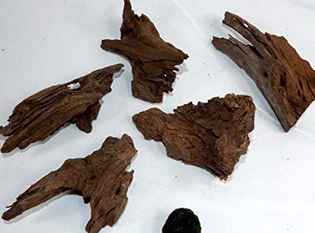 Bachflohkrebse Mangrovenwurzel für Aquarien und Terrarien 12-15 cm Wurzel Mangroven