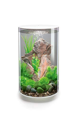 biOrb 72067 TUBE 30 LED, weiß (30 L) - 360-Grad Deko-Aquarium | Komplett-Set aus Acryl-Glas mit LED-Beleuchtung, Filter-System und Boden-Keramik