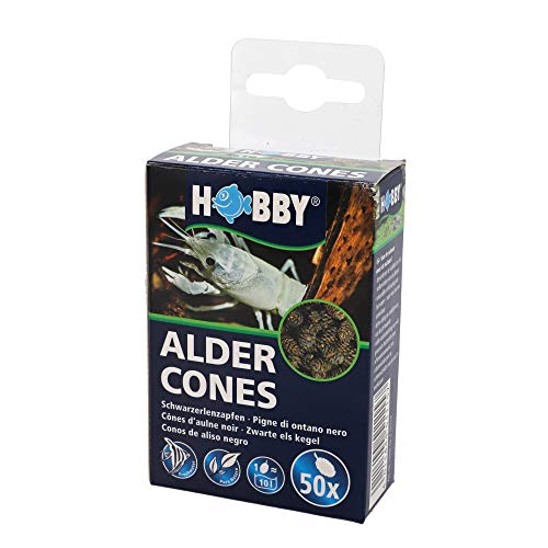 Hobby 51115 Alder Cones, 50 Stück (1er Pack)