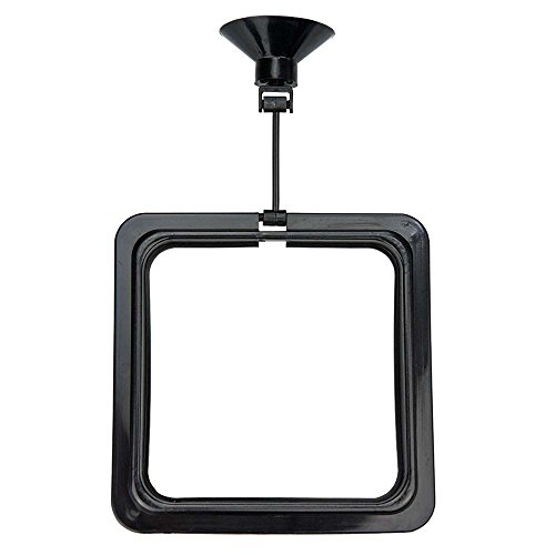 Hobby 61304 Feeding Station 2, eckig, 10 x 10 cm, schwarz