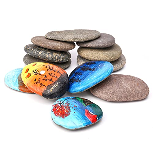 ShoppeWatch Steine zum Bemalen – Glattes Handwerk Kieselsteine – Flache Schilderfläche – Freundlichkeit Dekorative -12 Stück Größe von 5 bis 8 cm PS10