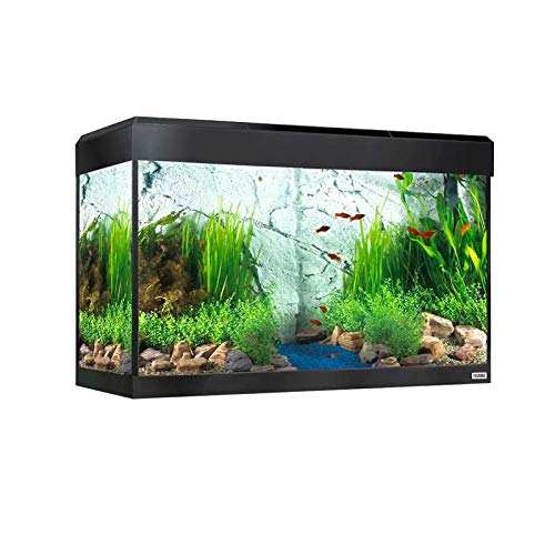 Fluval Roma Aquarium-Set mit LED-Beleuchtung, Bluetooth, 125 l, Schwarz