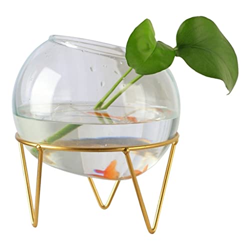 uotmui Fish Tabk Kreative Halterung Glas transparentes Fischtank Wasserpflanze Vase kleine dekorative Fischtank Wasser Fischtank Büro Haus Cooles Aquarium(13cm)