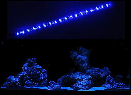 creative lights - Licht & Design AQUARIUM MONDLICHT 30 CM LED LICHTLEISTE KOMPLETTSET INKL. NETZTEIL FLEXI-SLIM BLAU