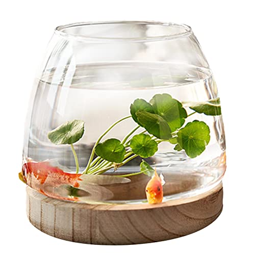 PW TOOLS Mini Aquarium, Glas Fischschale, kleine runde Klarglas vase, Desktop Aquarium mit Holzsockel, Hydrokultur Pflanzenvase, für Heimbüro Blumenarrangement Dekor