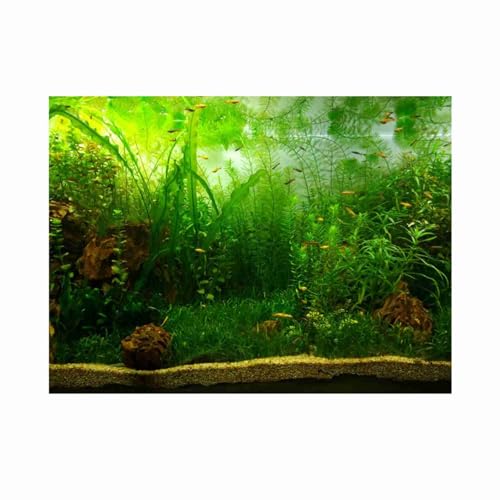 lvifloae Wassergras-Stil, Aquarium-Hintergrund, Poster, PVC-Kleber, Dekorpapier, Hintergrundaufkleber, Wassergras-Stil (61 x 30 cm) (91 * 41cm)