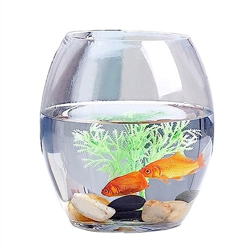 XLDZ Transparentes Glas-Aquarium – ovale Form, verdicktes Design für den Schreibtisch zu Hause und im Büro, vielseitig einsetzbar als Aquarium oder Goldfischbecken (XS)