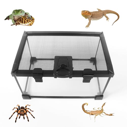 AFGSsm Reptilien Terrarium Glas, Schnecken terrarium, Schildkröten terrarium, Anti-Flucht-Design für Insekten, Wasserschildkröten, Vogelspinnen(30 * 20 * 16cm)