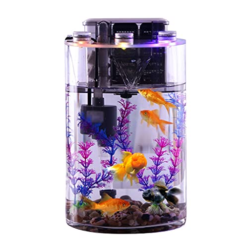 Aquarium-Starter-Sets, transparentes zylindrisches Desktop-Haushaltsaquarium aus Glas for Faule Menschen ohne Wasserwechsel, ökologisches Goldfischbecken, Aquarium