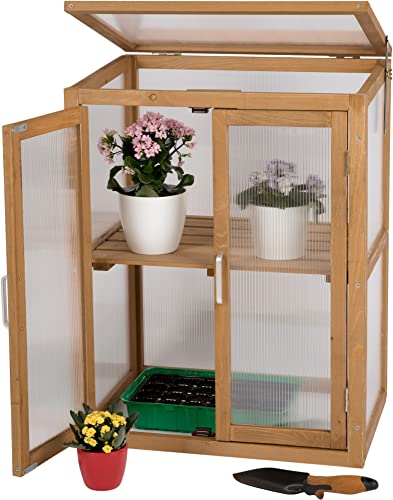 needs&wants® Mini Gewächshaus Treibhaus klein Winterfest aus Holz für Balkon Garten Indoor, Frühbeet Hochbeet Pflanzschrank Anzuchthaus, auch für Schildkröten, Polycarbonat