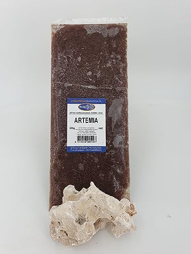 Frostfutter für Zierfische 1 STK. große 500g Tafel Verschiedene Sorten Freie Auswahl Versand mit Trockeneis (Artemia, 500 g Tafel)