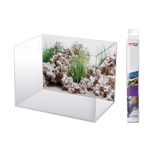 AMTRA Wonder - Aquarium Poster Hintergrund, Aquarium Dekoration, Deko Poster mit Doppeldruck, Format 30x60cm