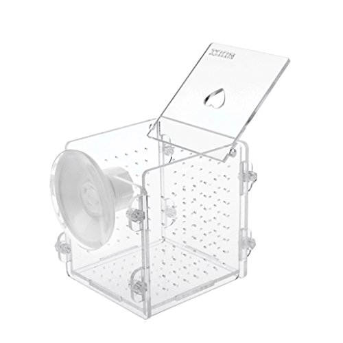 Dcaknri Fish For Hatchery Inkubator Aquarium Breeding Box Acrylic Breeder Isolation Hatching Boxes With Suction Cup