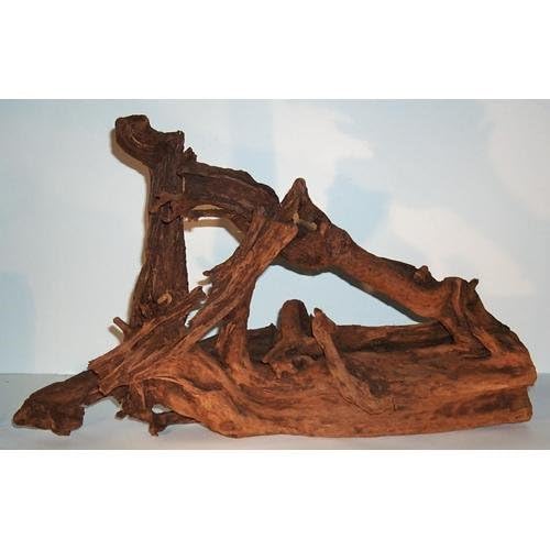Mangrovenwurzel Traumwurzel Gr: L 35-60 cm Echtholz Naturprodukt