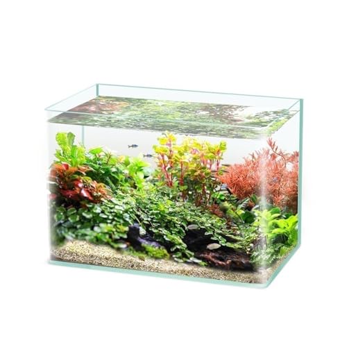 KKXXYQFC Aquarium Neues, ultraklares Glas-Aquarium, beheizt, gebogenes Bastel-Desktop-kleines Aquarium-Schildkrötenbecken für Wohnzimmer-Aquariumbecken (40 cm x 24 cm x 25 cm)