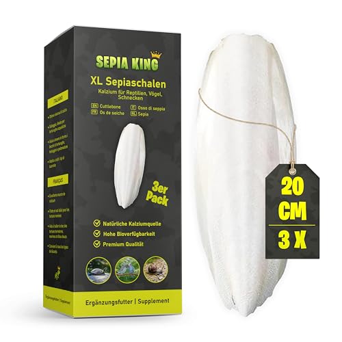 Sepia King - XL Sepiaschalen für Schildkröten, Vögel, Schnecken - Extra Dicke, große Sepia Schalen, Futter und natürliches Kalzium - Wellensittich Spielzeug, Terrarium Zubehör - 100% Natürlich