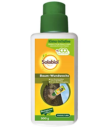 Solabiol Baum-Wundwachs, Anwendungsfertiges Wundverschlussmittel für Obstbäume und Ziergehölze, 300g Pinseltube