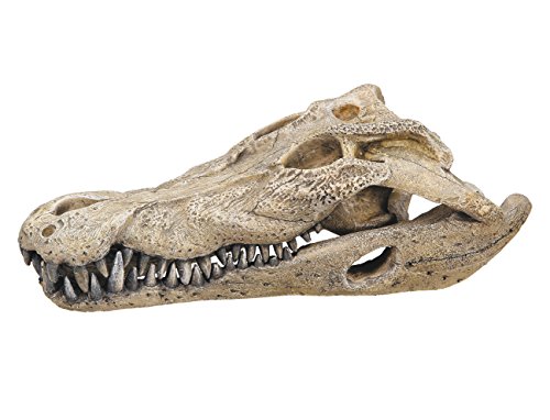 Nobby Aqua Ornaments Krokodil Schädel, 26 x 14 x 9 cm, 1 Stück