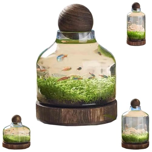 FkYstrix Klarglas Fischbecken Aquarium Kit Pflanzenvermehrungsstationen Hydroponische Terrarienvase Desktop Fischschale für Fischpflanzen, A